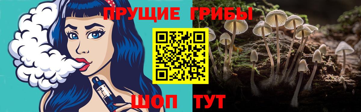 Псилоцибиновые грибы MAGIC MUSHROOMS  Галлюциногенные грибы Magic Shrooms  Вход с VPN  Малгобек 
